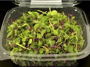 Mezcla de brotes cortados